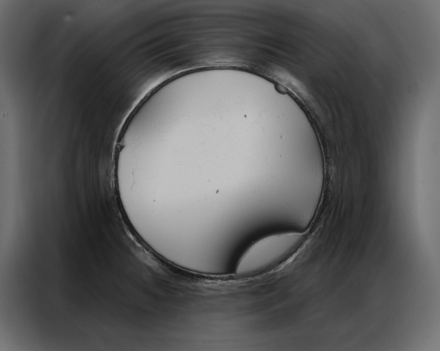 X0000086901236200705071237