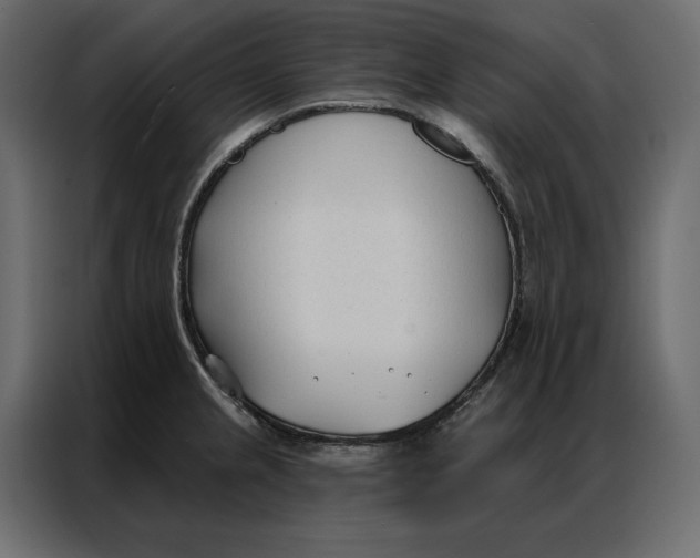 X0000086901237200705071237