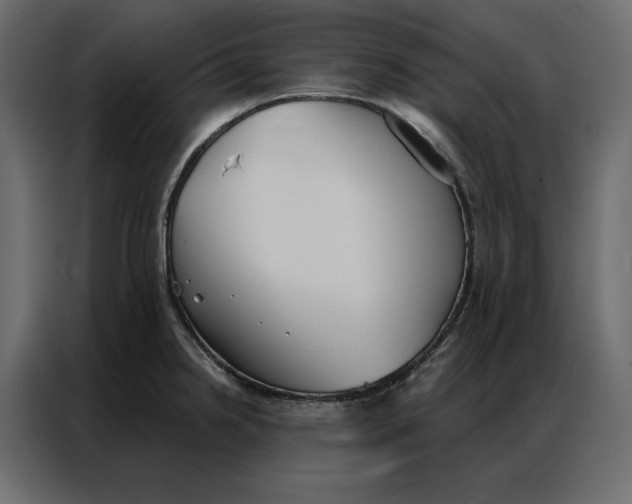 X0000086901238200705071237