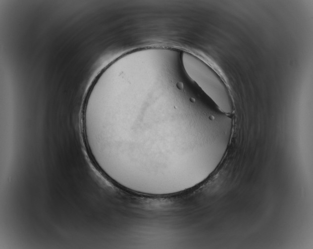 X0000086901239200705071237