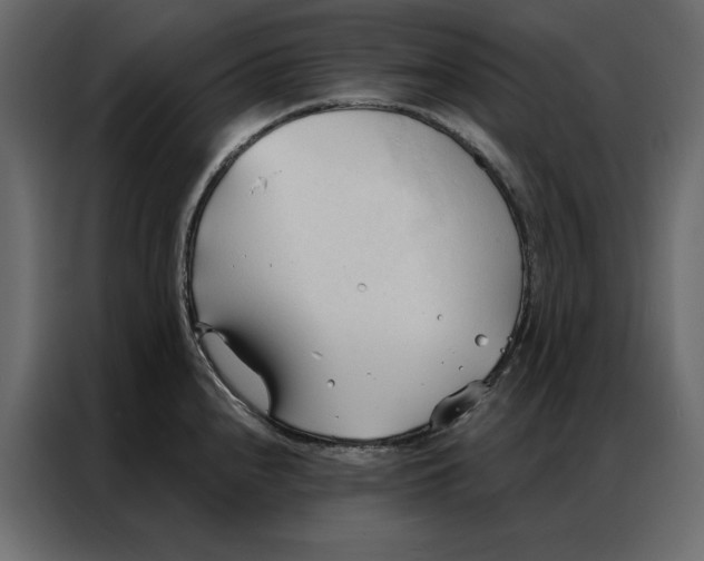 X0000086901240200705071237