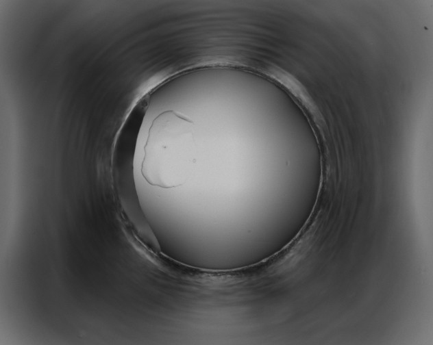 X0000086901242200705071237