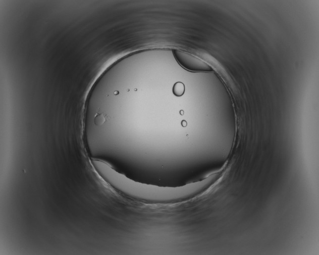 X0000086901244200705071237