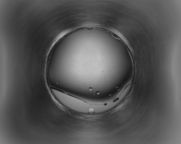 X0000086901245200705071237