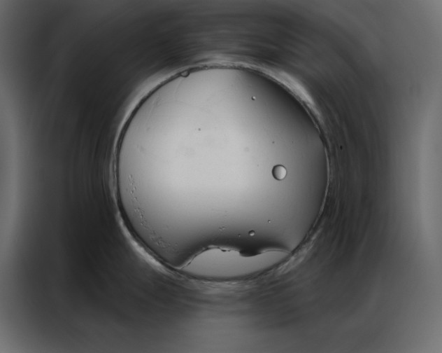 X0000086901247200705071237