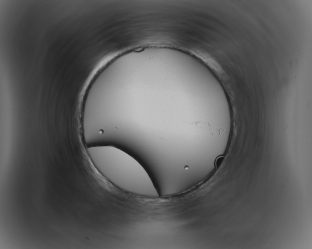 X0000086901248200705071237