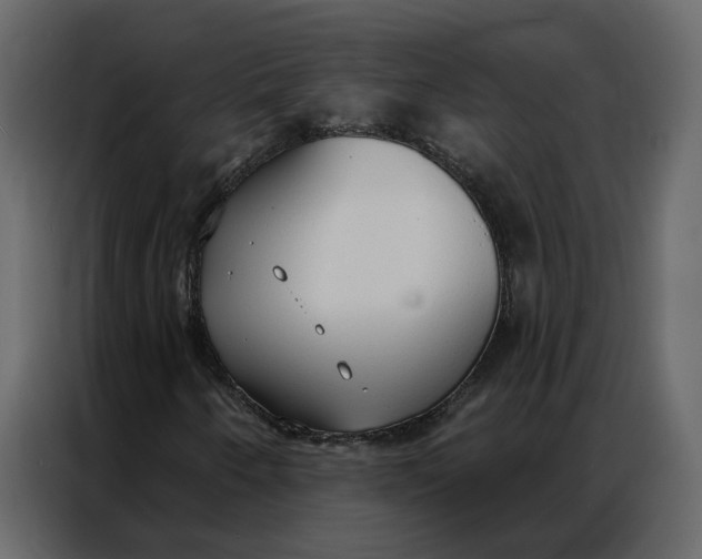 X0000086901250200705071236