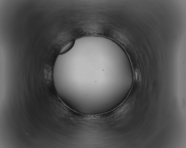 X0000086901251200705071236