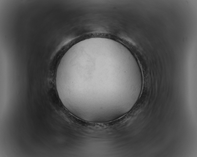 X0000086901255200705071236