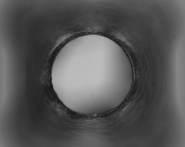 X0000086901256200705071236