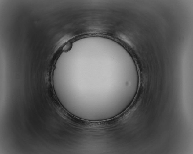 X0000086901259200705071236