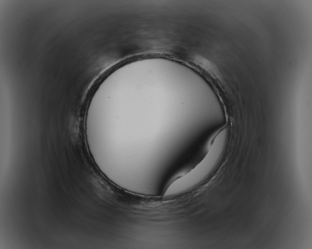 X0000086901260200705071236