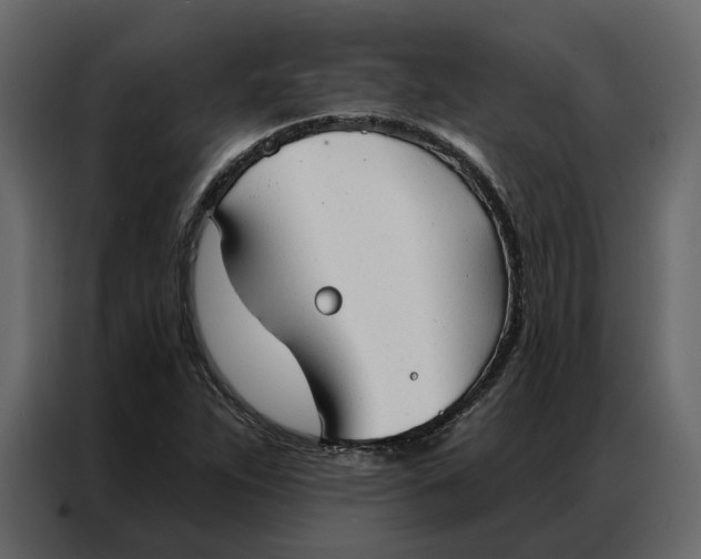 X0000086901263200705071236