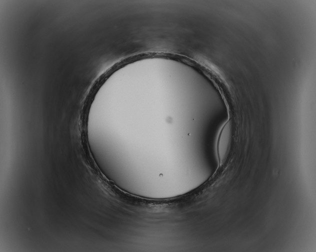 X0000086901264200705071236