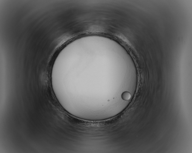 X0000086901266200705071236