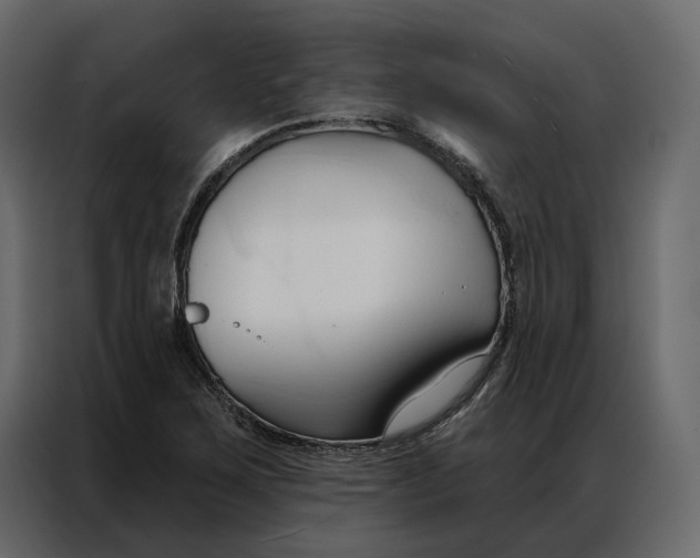 X0000086901267200705071236