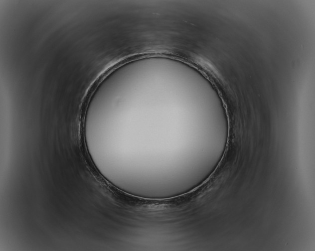 X0000086901268200705071236