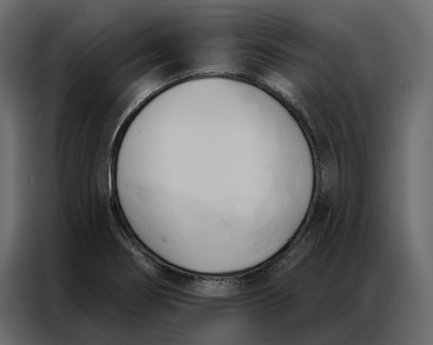 X0000086901274200705071236