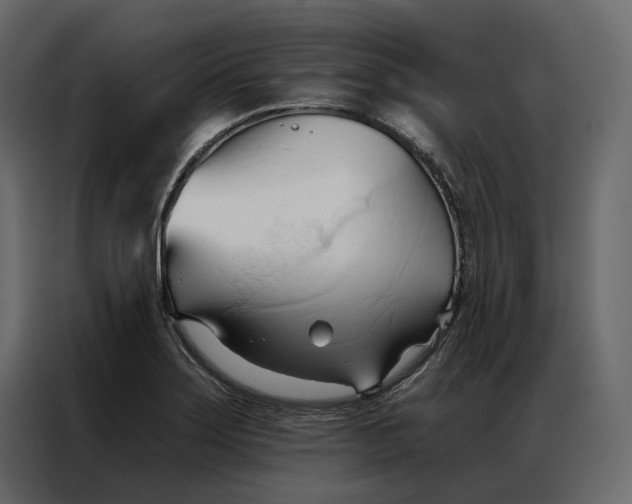 X0000086901275200705071236