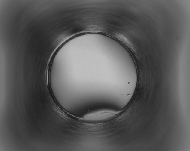 X0000086901276200705071236