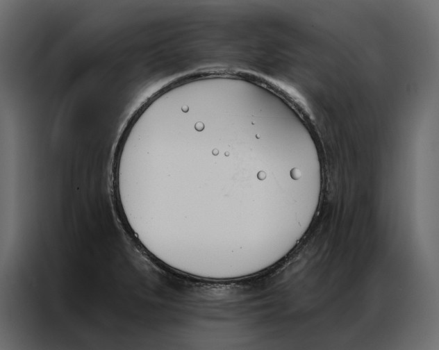 X0000086901279200705071236