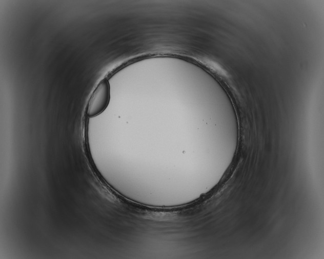 X0000086901280200705071236