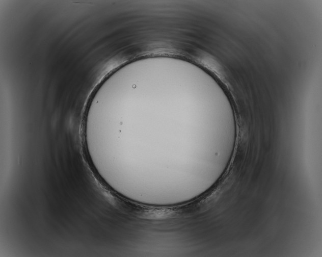 X0000086901282200705071236