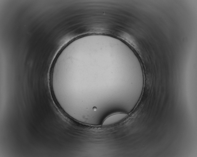 X0000086901283200705071236