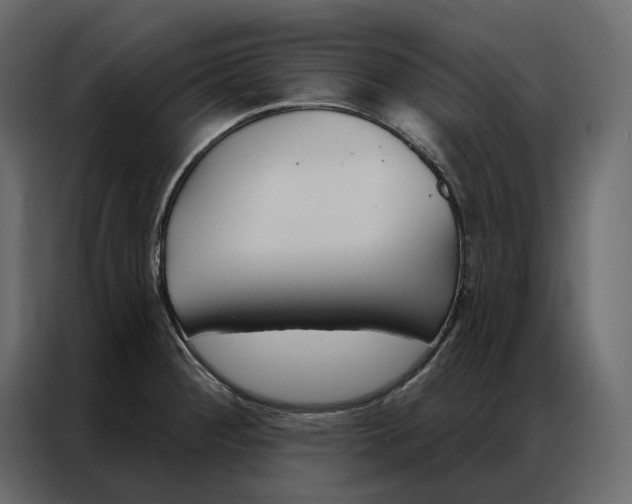 X0000086901284200705071236