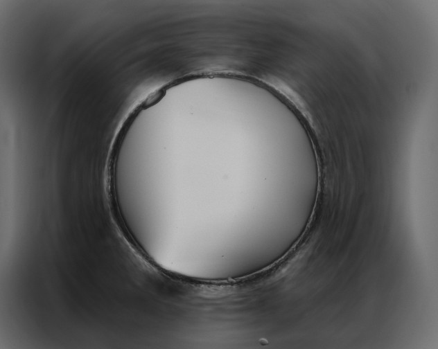 X0000086901285200705071236