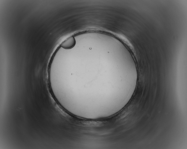 X0000086901287200705071236