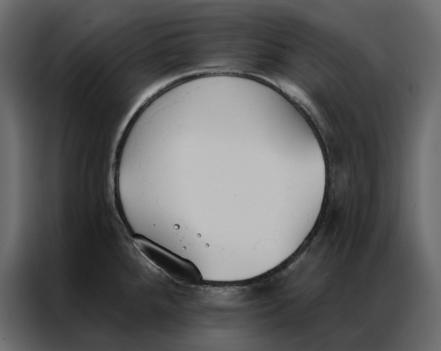 X0000086901288200705071236