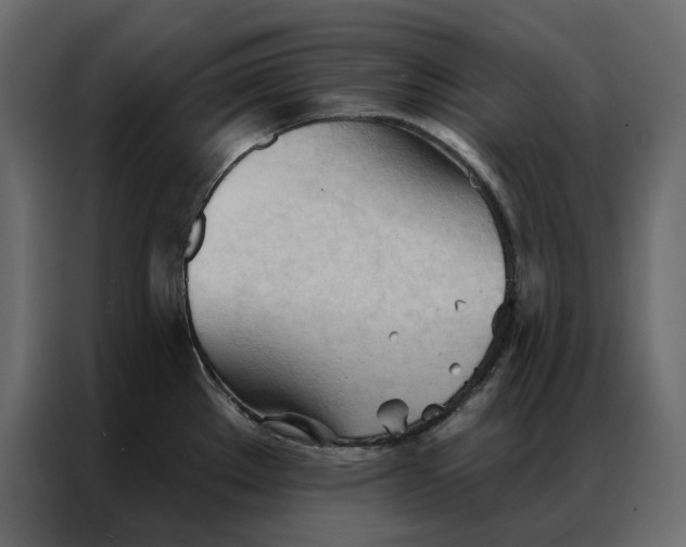 X0000086901289200705071236