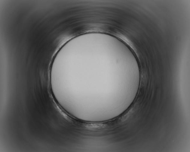 X0000086901290200705071236