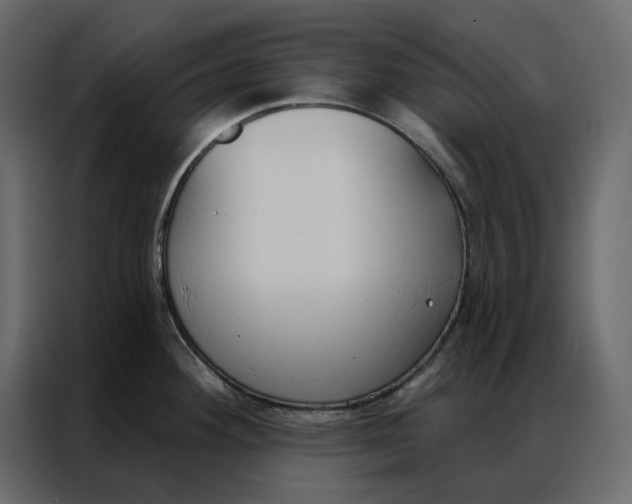 X0000086901292200705071236