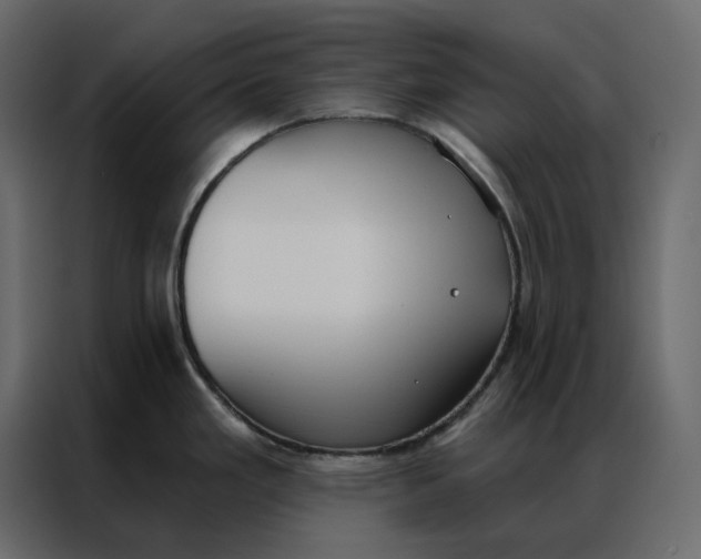 X0000086901293200705071236