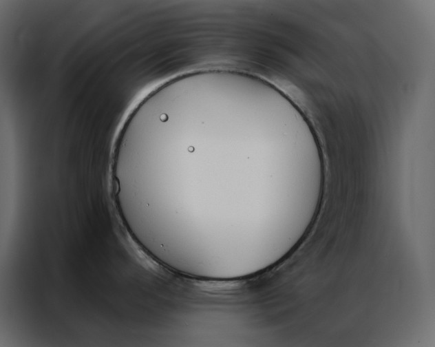 X0000086901296200705071236