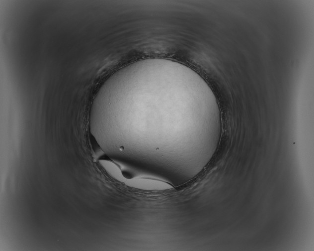 X0000086901297200705071235