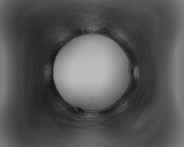 X0000086901299200705071235