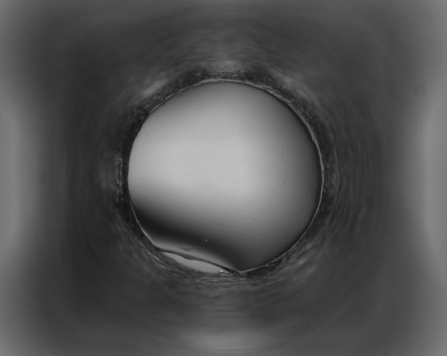 X0000086901301200705071235