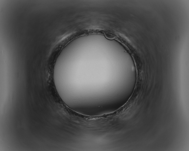 X0000086901303200705071235