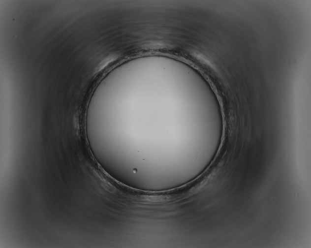 X0000086901305200705071235