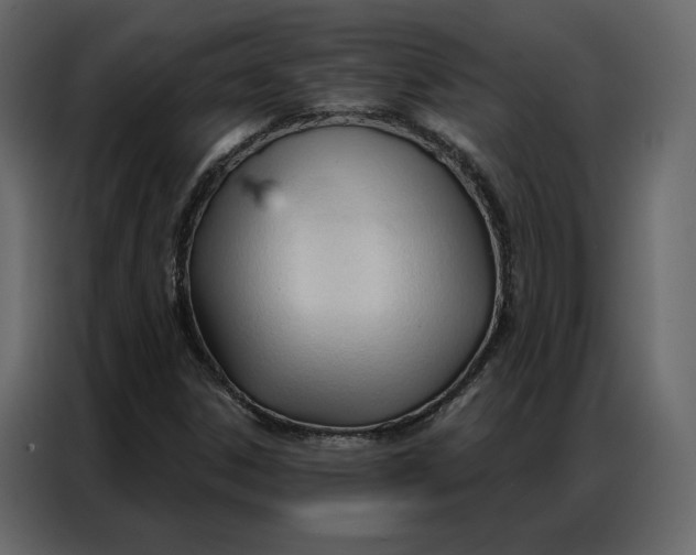 X0000086901306200705071235