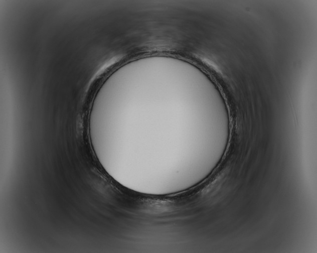 X0000086901309200705071235