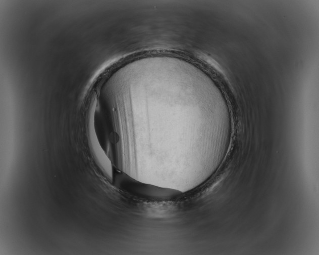 X0000086901310200705071235