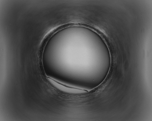 X0000086901311200705071235