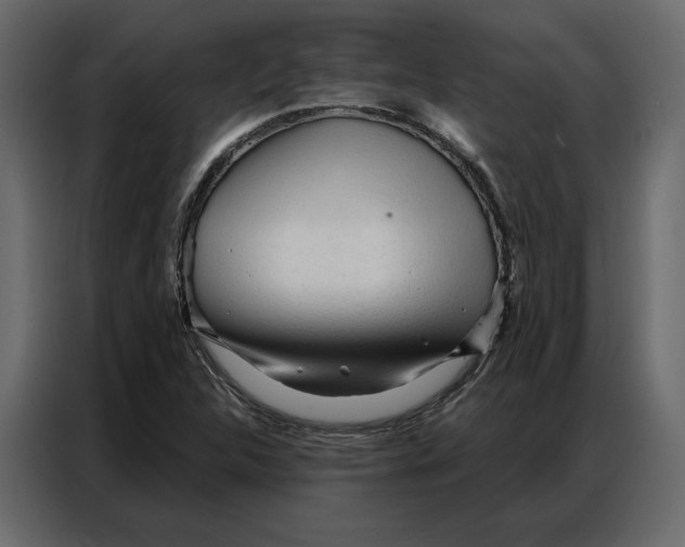 X0000086901312200705071235