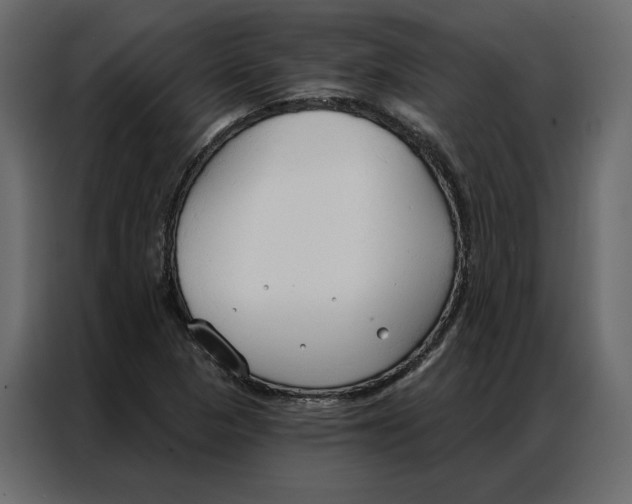 X0000086901313200705071235