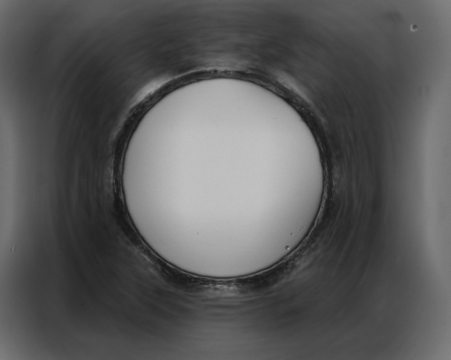 X0000086901315200705071235