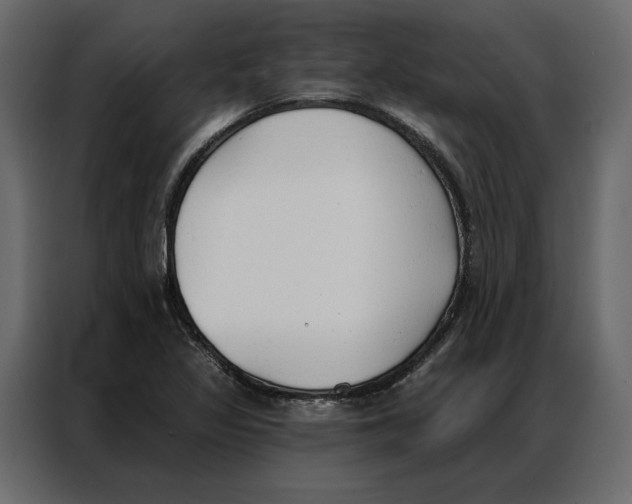 X0000086901317200705071235